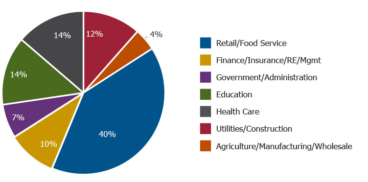 Circle graph showing breakdown of business types in Queen Creek