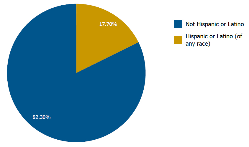 Circle graph showing ethnicity breakdown