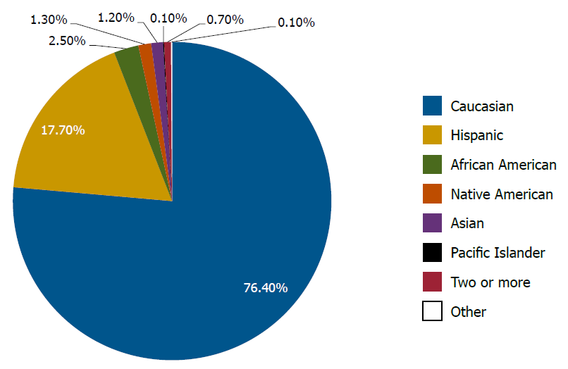 Circle graph showing diversity breakdown